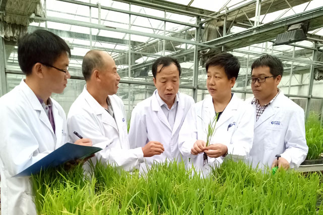 四氯蟲酰胺英文通用名tetrachlorantraniliprole獲ISO臨時批準